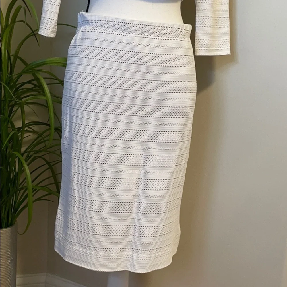 BCBG Crop & Midi Skirt Set